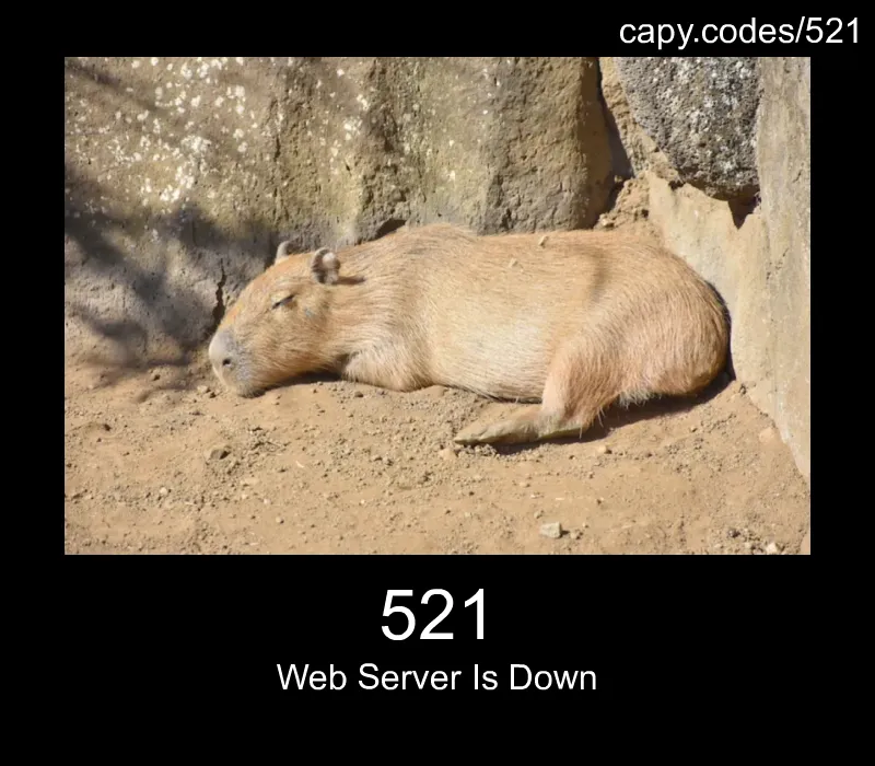 521 - Web Server Is Down